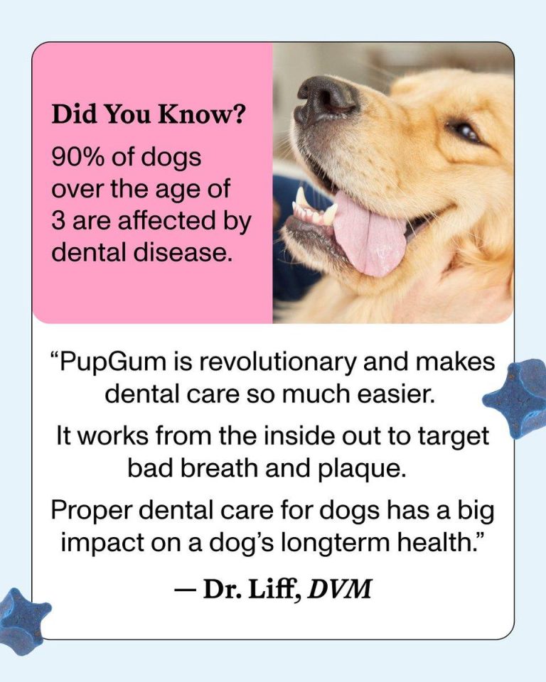 Spot & Tango Launches PupGum: The First Clinically Proven Dental Chew That Reduces Bad Breath in Dogs in Just Seven Days – Business Wire