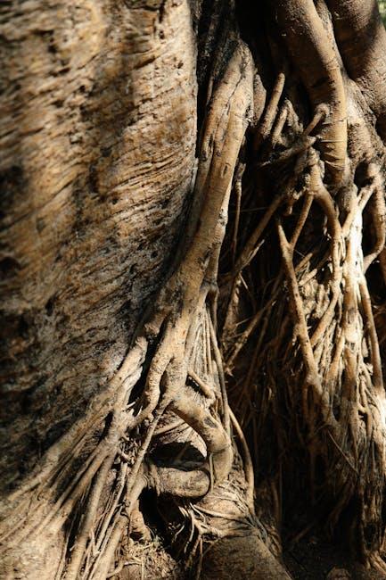 deep roots dental