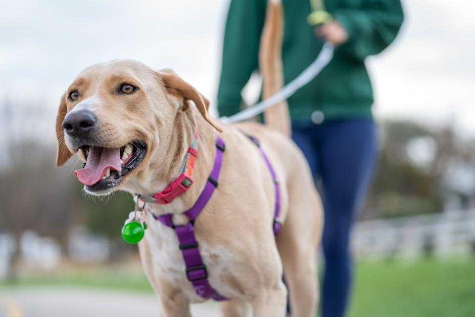 preventive pet health