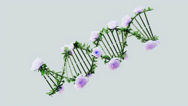 Titans of genetics and neuroscience to headline at ICC – Nature