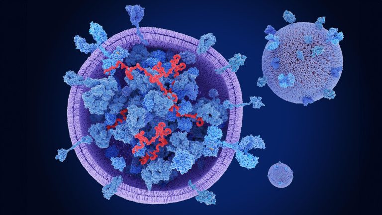 Isolation methods of exosomes derived from dental stem cells – Nature