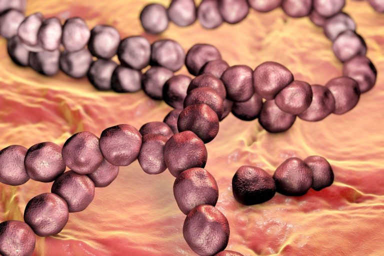 Insights Into the Role of Streptococcus mutans and Candida albicans in Dental Biofilm Formation and Cariogenicity: A Literature Review – Cureus