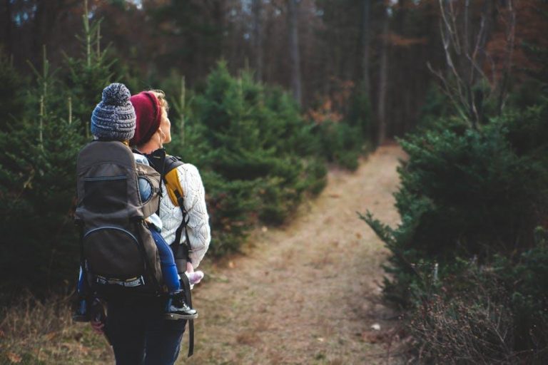 Travel without toothaches: Simple dental care tips to keep your smile bright on the go – Daijiworld