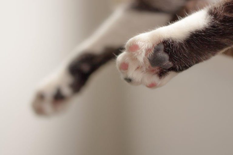 Pet Oral Care Market to Reach USD 3 Billion by 2032 at a CAGR of 6.1% from 2025 – Meticulous Research – The Malaysian Reserve