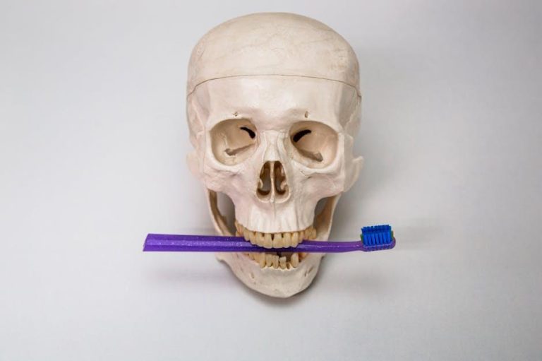 Dental Bone Graft Substitutes Market Size Analysis, – openPR.com