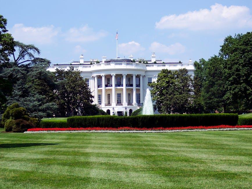 government