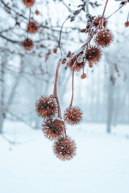One-Use Burs