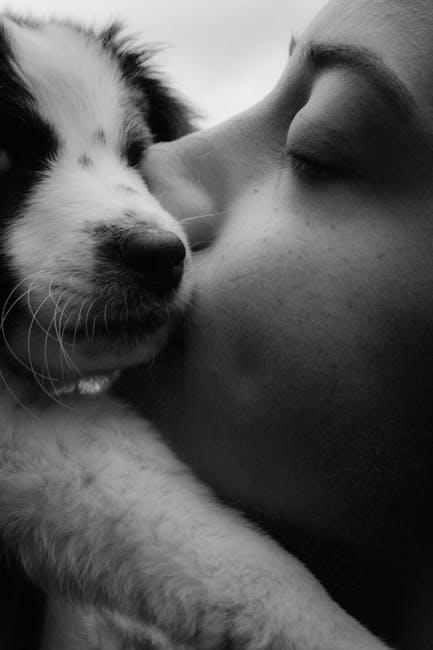 pet oral care