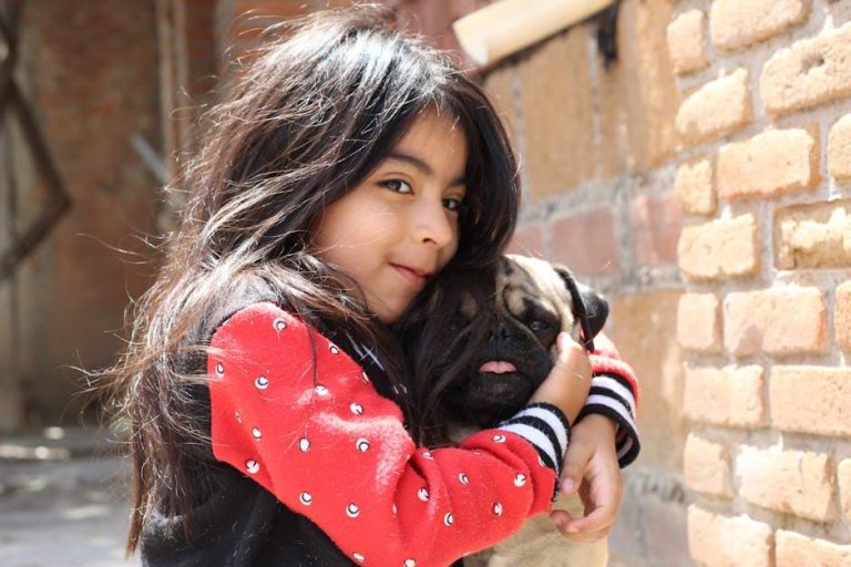 Sponsored: Dental care for your pet – 12News