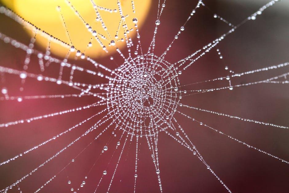 connection