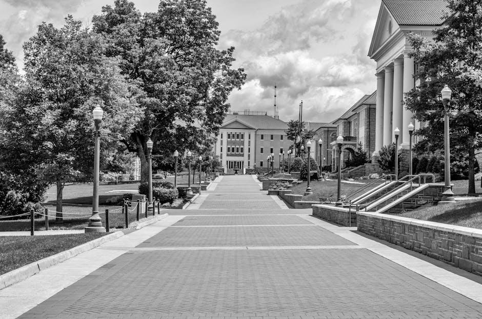 West Virginia University