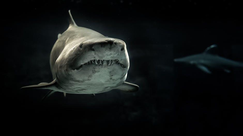 Shark Dentist
