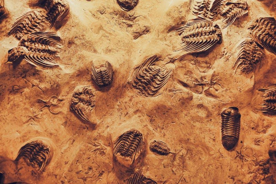 ancient species dental records