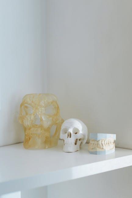 dental bone graft
