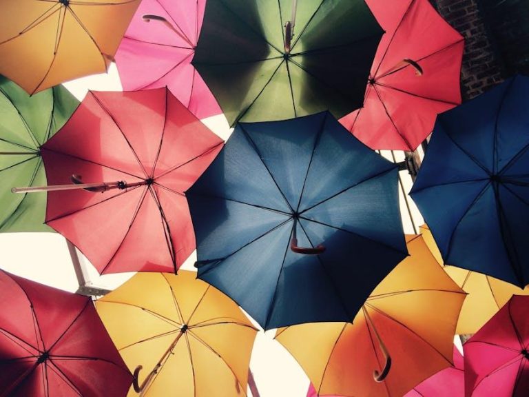 The Best Medical Travel Insurance of 2025 – U.S. News & World Report