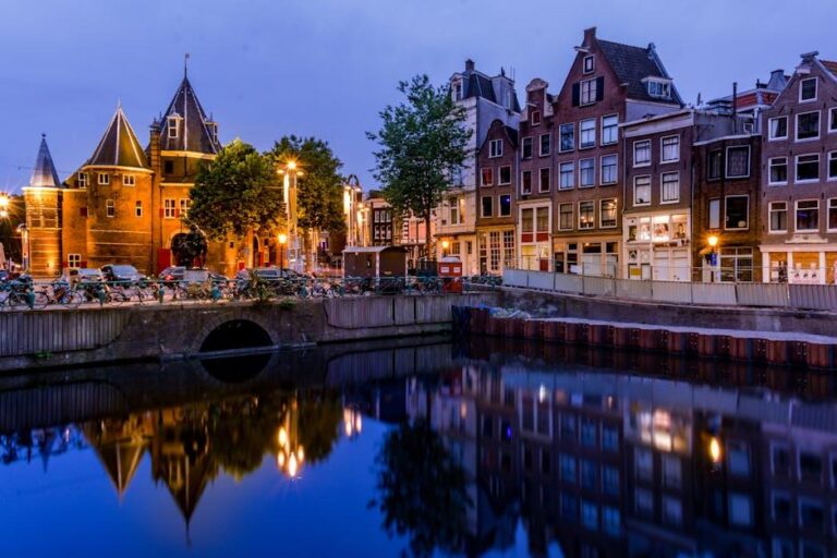 Dutch dental startup Novenda Technologies secures €5.2M – Silicon Canals