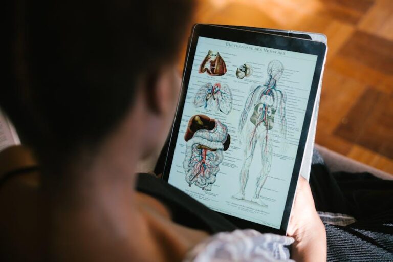 WesternU College of Dental Medicine awards Western Regional Examination Board Legacy Endowed Scholarships – WesternU News