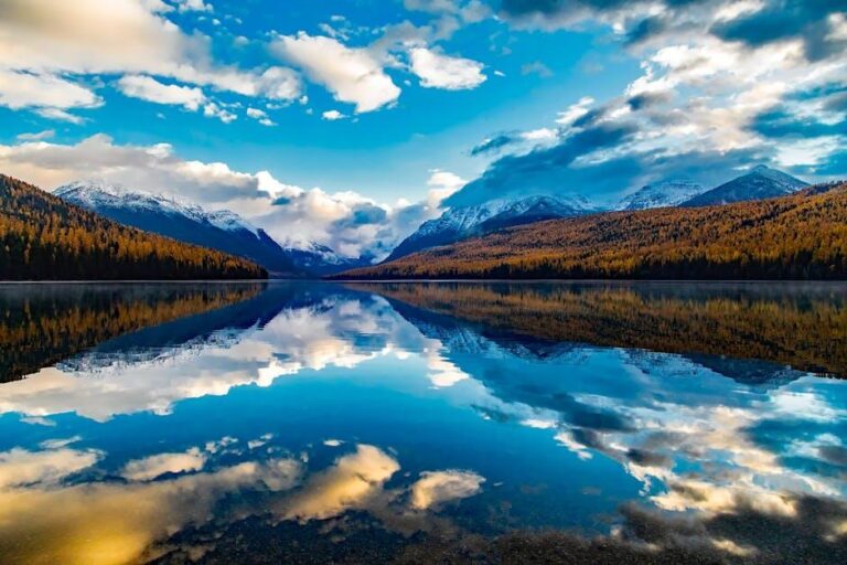 Montana passes dental loss ratio legislation – American Dental Association