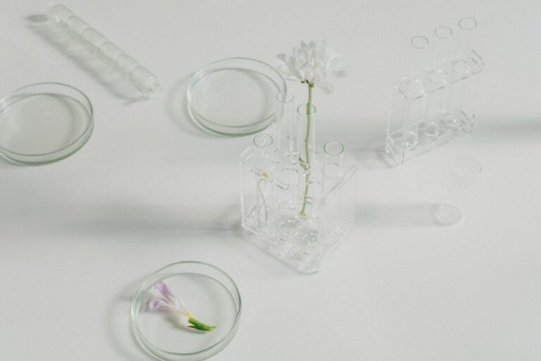 Stem cells from extracted wisdom teeth are like “medical gold,” able to treat multiple diseases – Earth.com