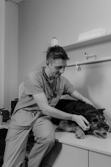 Vet Tech