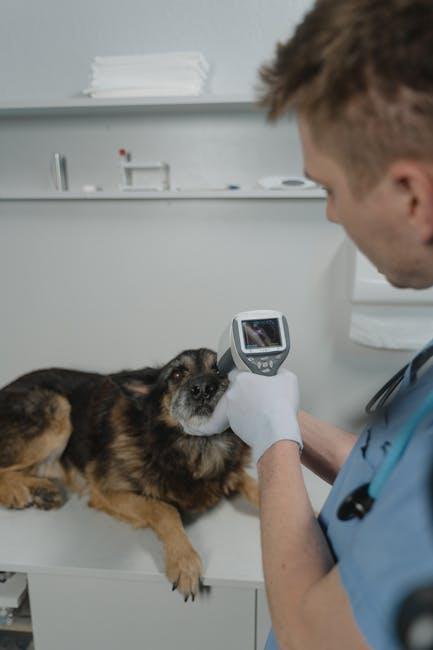 vet tech