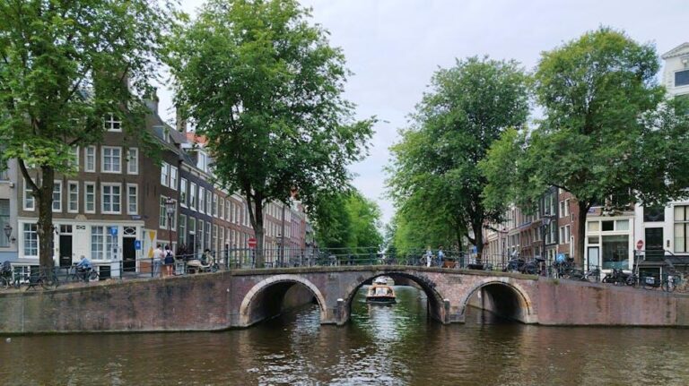 Dutch Startup Novenda Technologies Raises $6.1M to Revolutionize Dental Products with 3D Printing – Future Startup