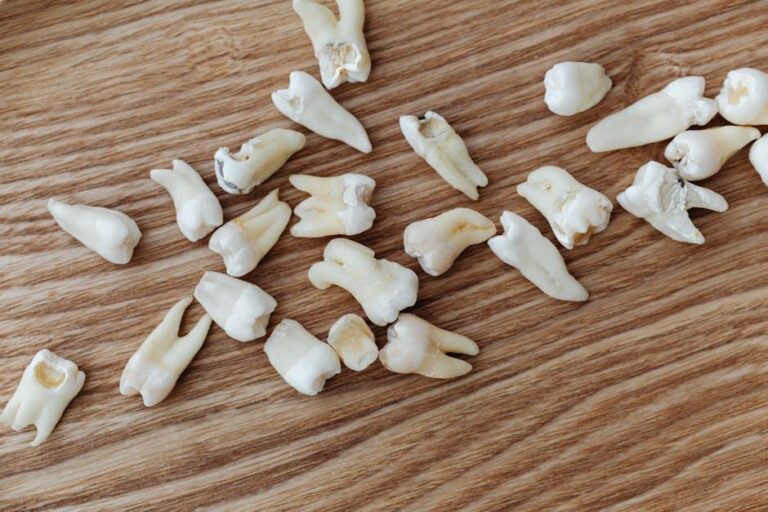 Dental Endodontics Market is Forecasted to Reach US$ 3 Billion by 2031, – openPR.com