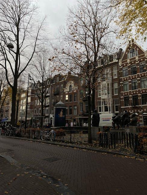 Dutch startup