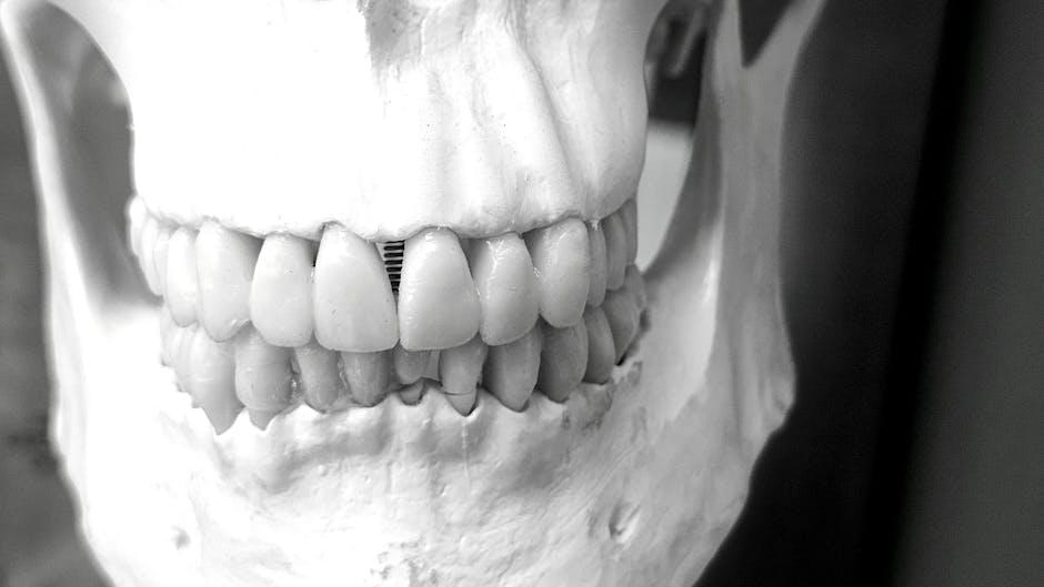 Dental bone graft