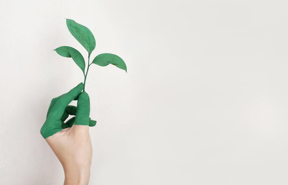 Dental soft tissue regeneration