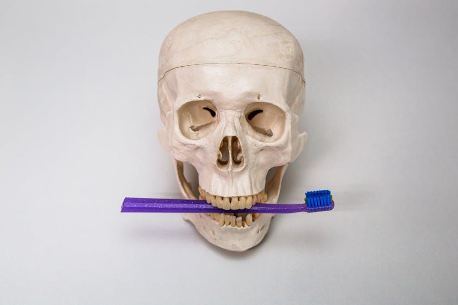 dental bone graft