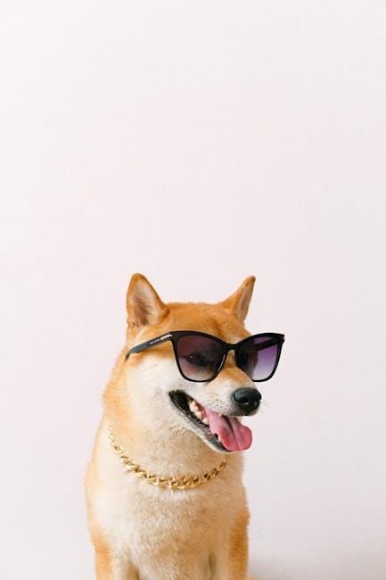 Shiba Inu