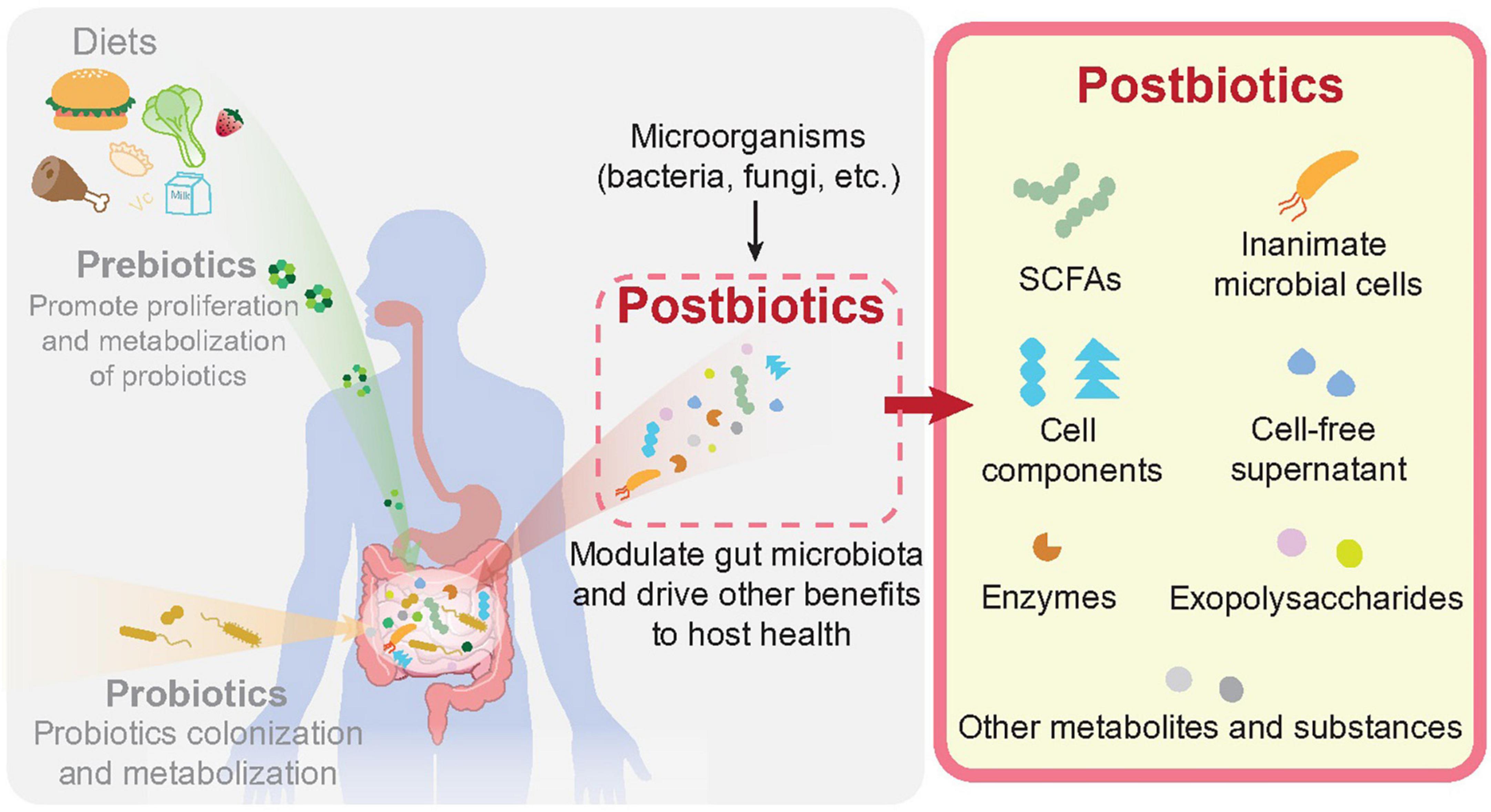 postbiotic