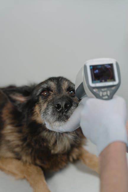 AI-powered veterinary technology