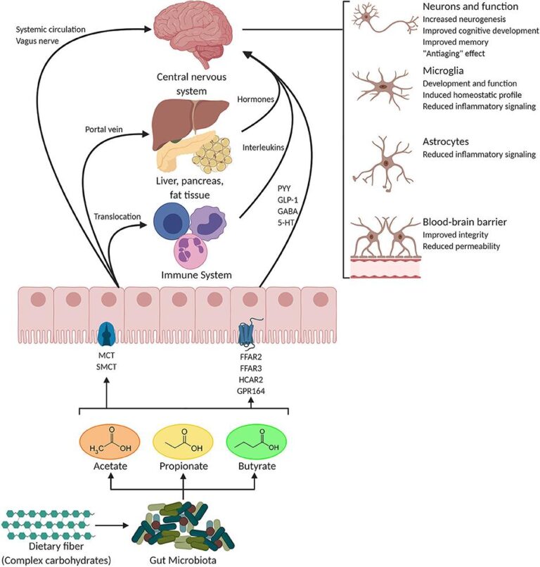 Postbiotics against the pathobionts: A new chapter – rdhmag.com