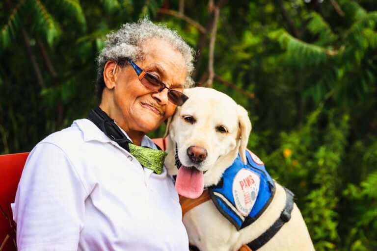 Meet Chai! This dental office’s therapy dog helps ease patient anxiety – News Channel 5 Nashville