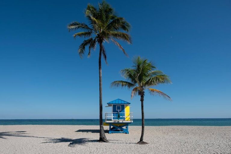 South Florida’s Medical Experts 2025: South Florida Center For Periodontics & Implant Dentistry – Boca Raton Magazine