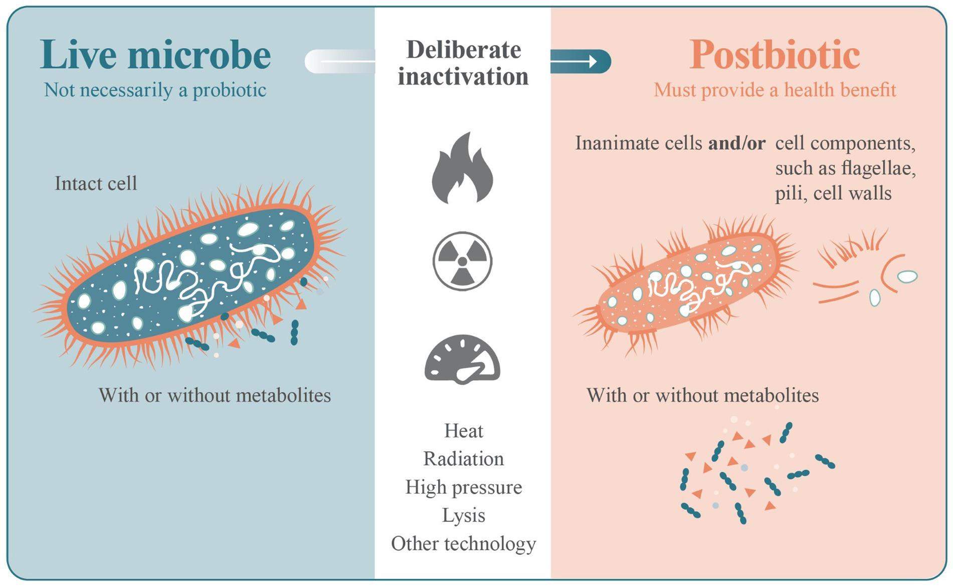 postbiotics