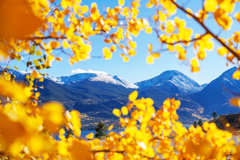 Aspen Dental