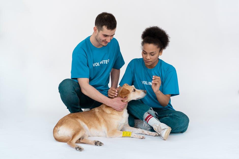 pet therapy
