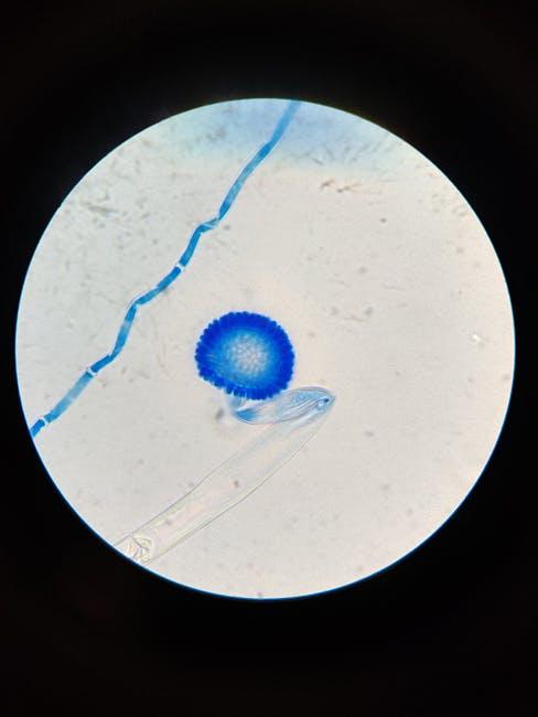 periodontal microscopy